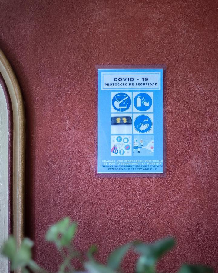 Casa Del Sotano Hotel Oaxaca Екстериор снимка